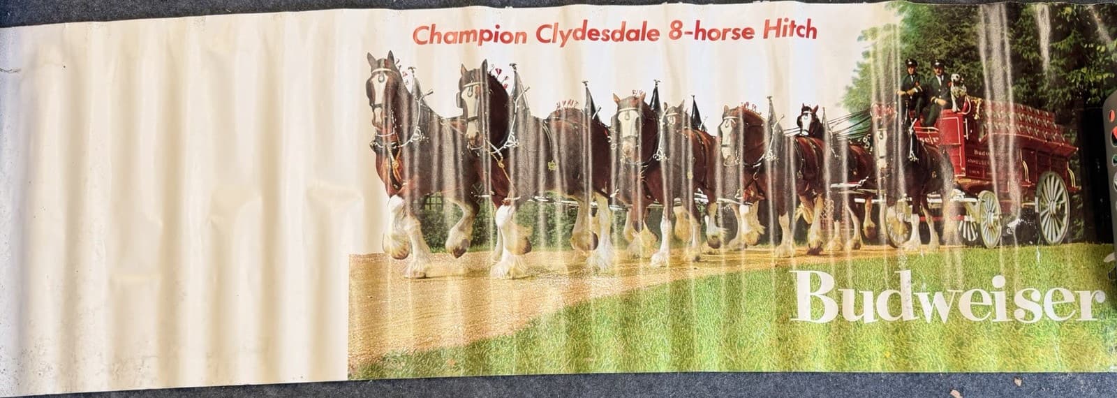 Budweiser Champion Clydesdale 8-horse Hitch Breweriana Collectible Bar Poster