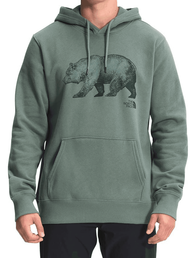 THE NORTH FACE Men's TNF Bear Pullover Hoodie - Laurel Wreath Green, Large - Image 1