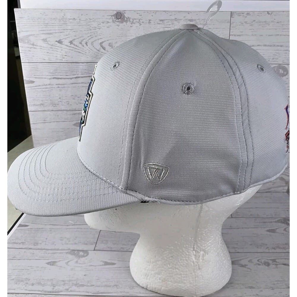 2018 College World Series Gray CWS Snapback Hat