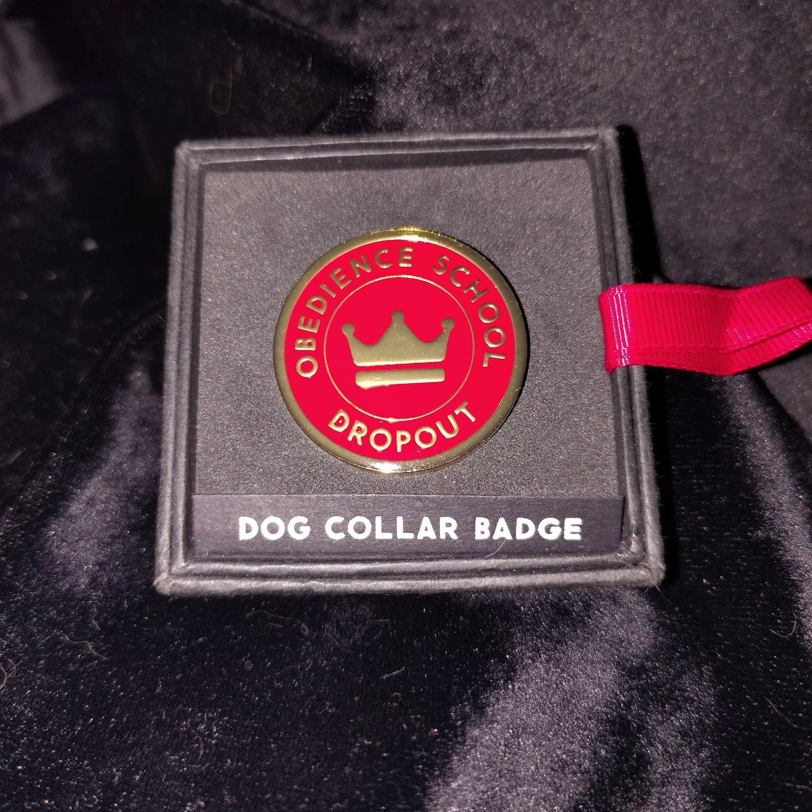 "Obedience School Dropout" Metal Dog Collar Badge Clip Charm