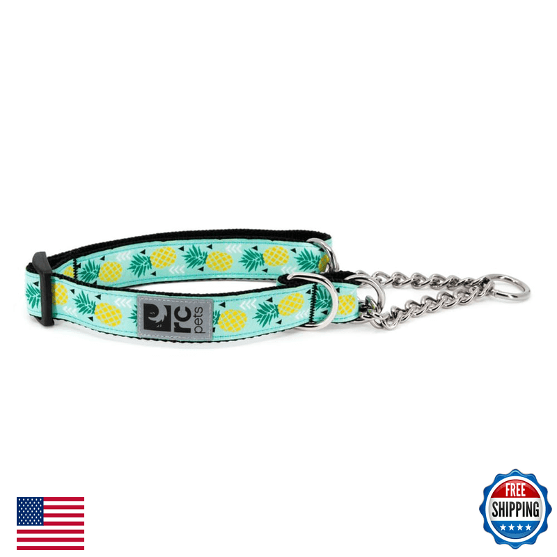 Rc Pet Products Rc Pets 1 Martingale Training Collar Medium Pineapple Parade