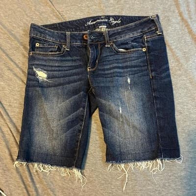 American-eagle-outfitters Women's Navy and Blue Shorts