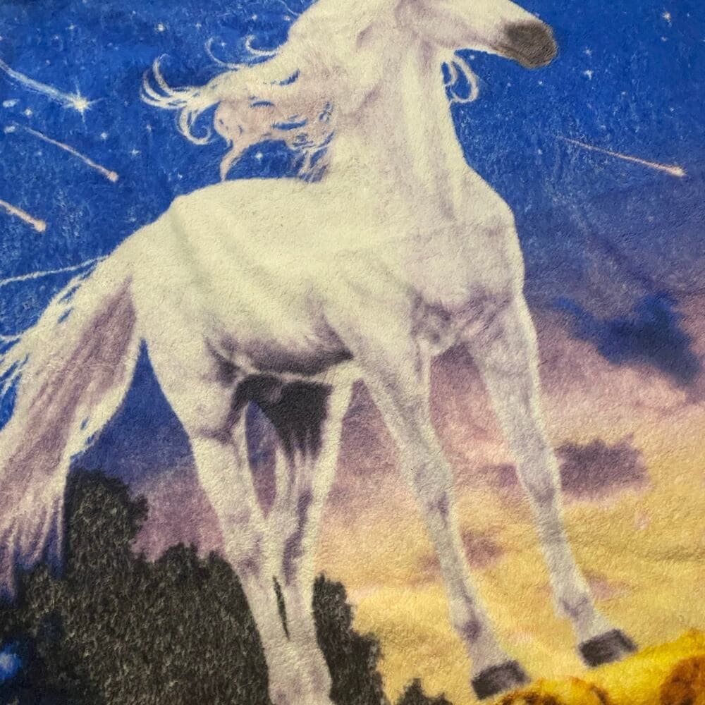 Unicorn blanket