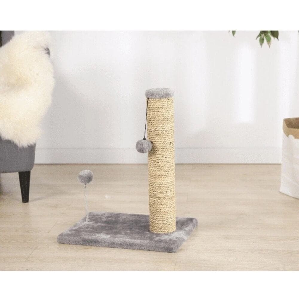 Seagrass Cat Scratch & Play Post W/ Dangle Toys Entertainment Exercise Portable