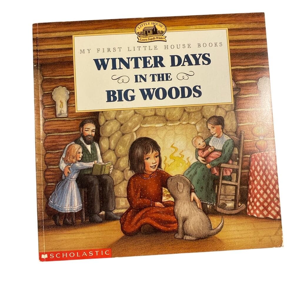 Winter days in the big woods book