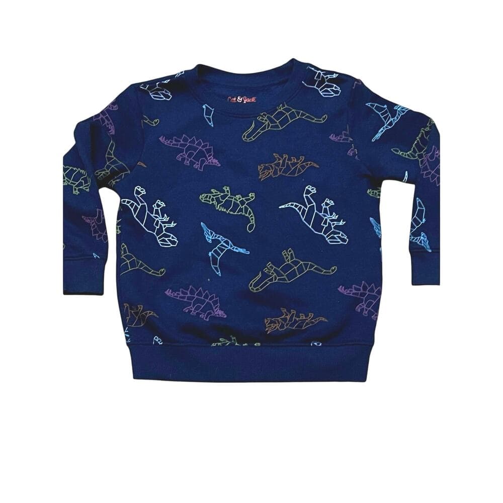 Cat & Jack dinosaur CrewNeck Sweater Size 4T