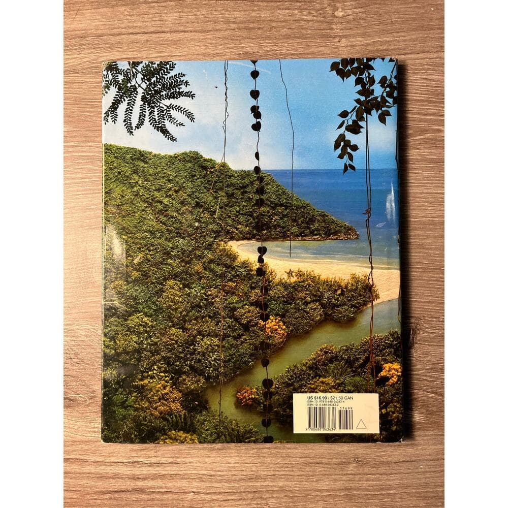 Where The Forest Meet The Sea By Jeannie Baker