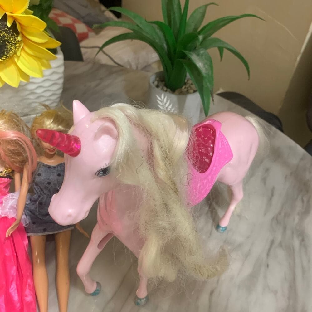 Barbie bundle
