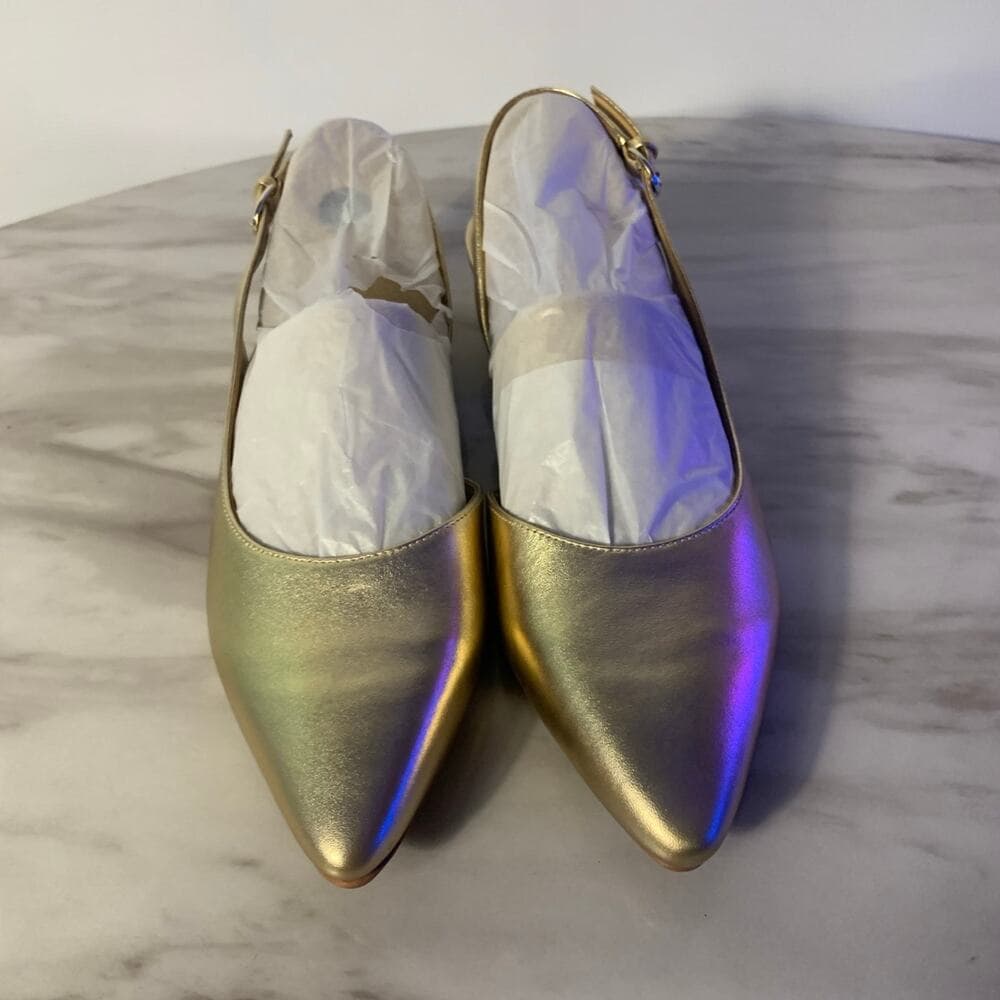 Banks Pointed Toe Flat 9 1/2