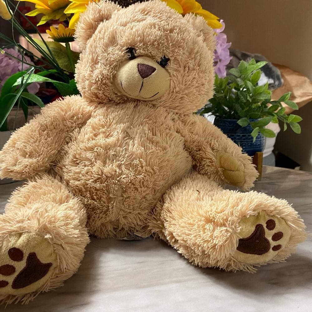 Teddy Bear stuff animal