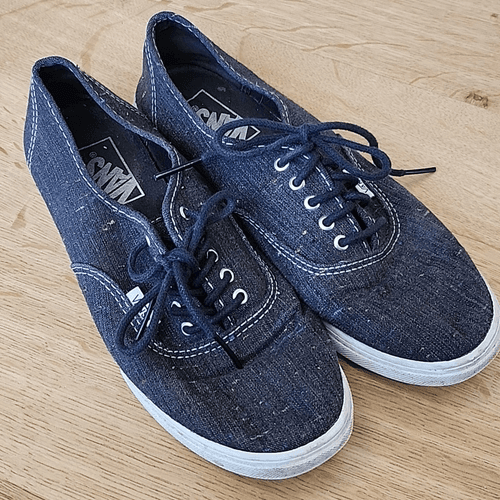Vans Charcoal Gray and Multi Color shoes