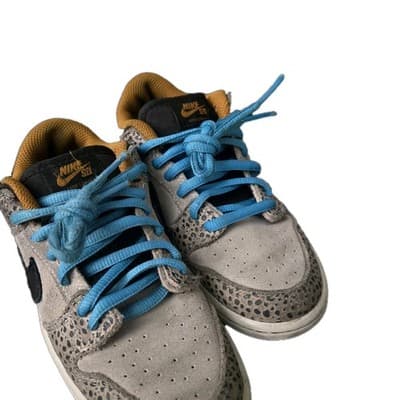 Nike SB Dunk Low Pro 13c