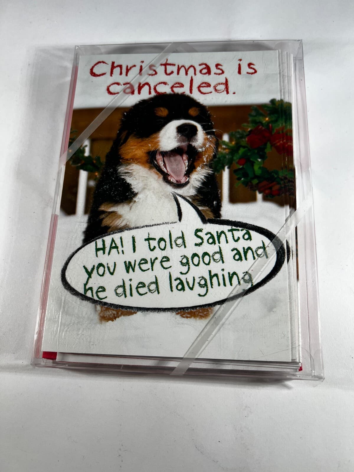 Set of 12 Holiday Funny Cards Christmas Is Canceled Peti Greet Nobleworks NEW