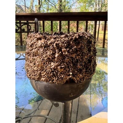 Vintage Brutalist Organic Textured Bronze Finish Vase Planter
