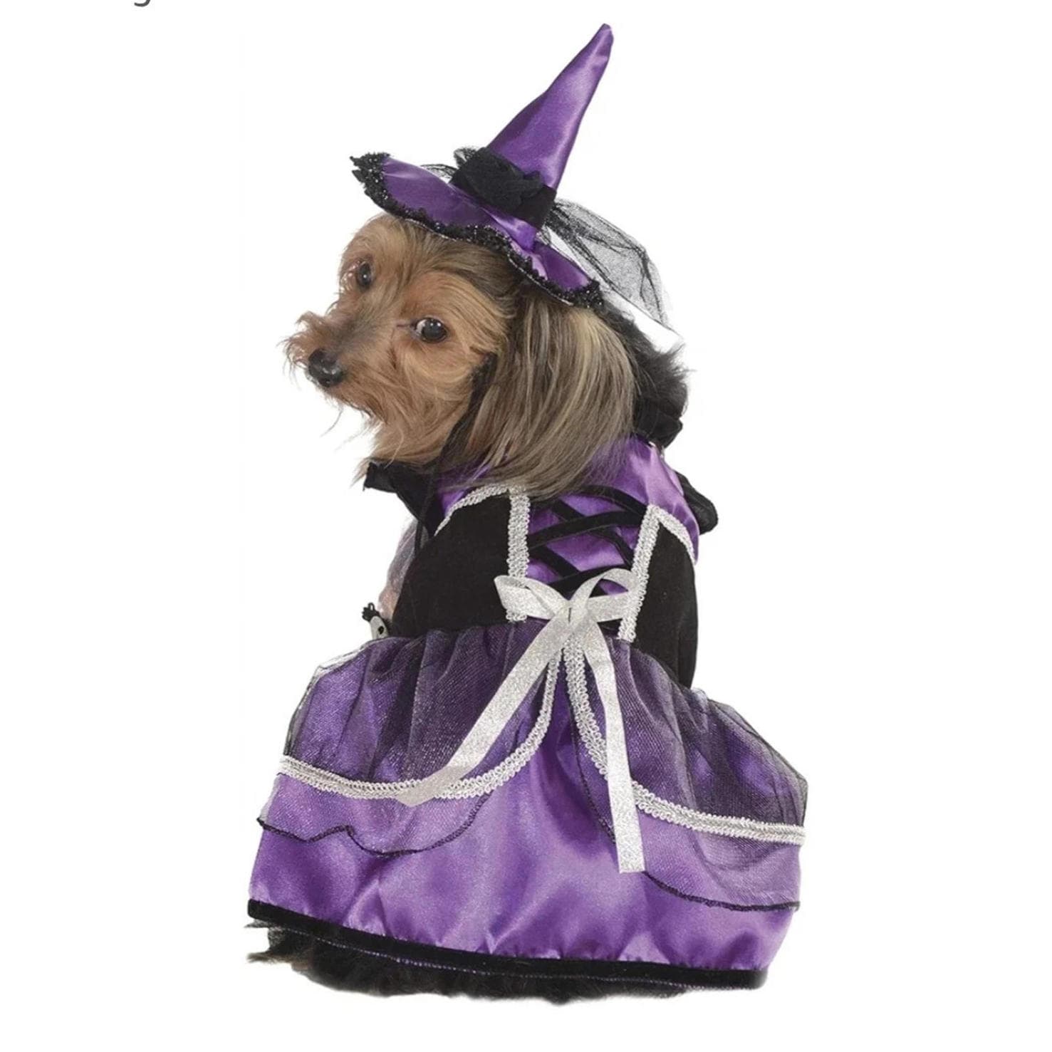 Rubie's Pet Shop Purple Witch Pet Costume with Hat X-Large