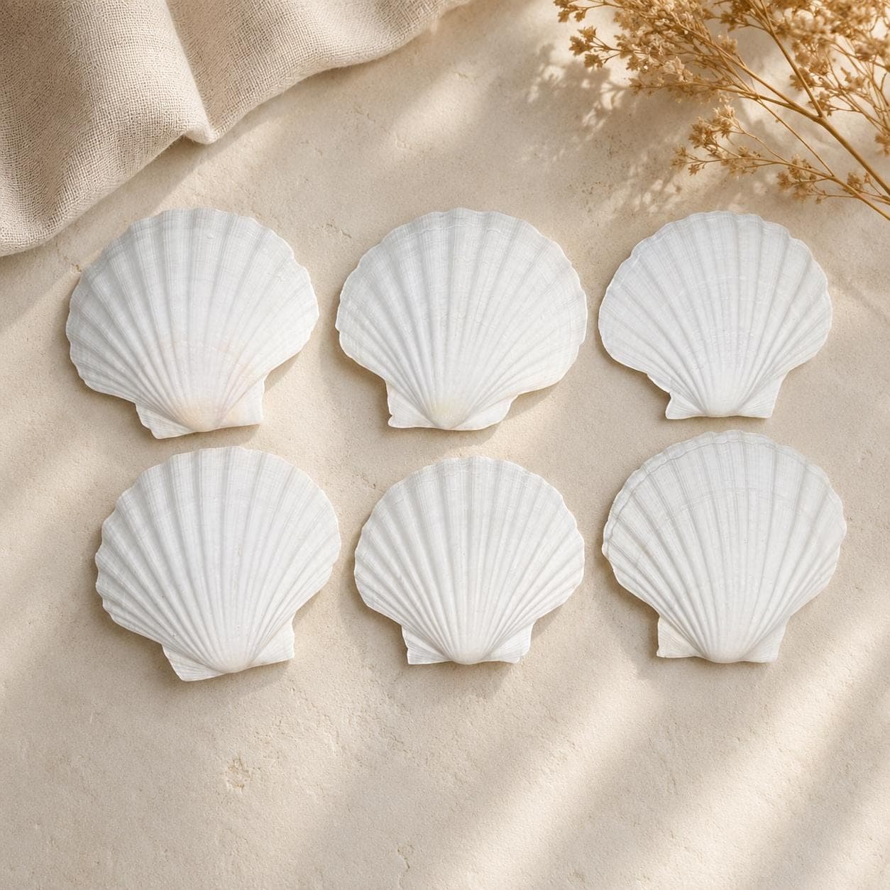 Real Irish Baking Scallop Shells – Set of 6 (3.5–4″) Natural Oven‑Safe Coquilles for Baking & Coastal Crafts