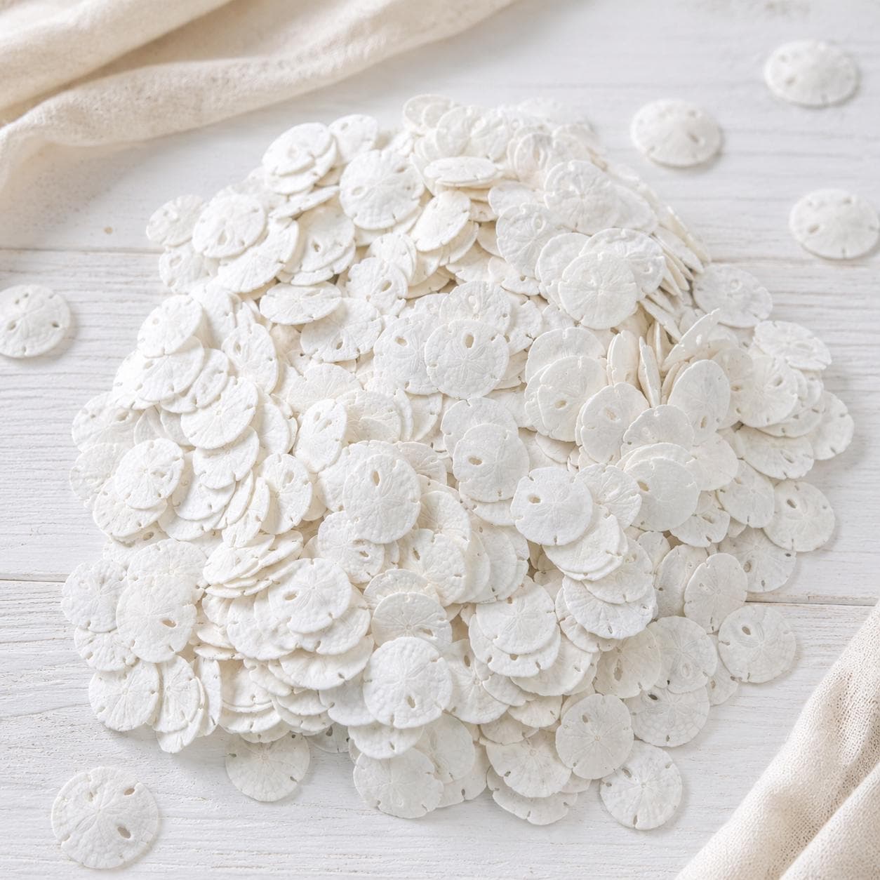 20 Tiny Sand Dollars (3/4 – 7/8 in) – Natural Sea Shells for Crafts & Coastal Decor