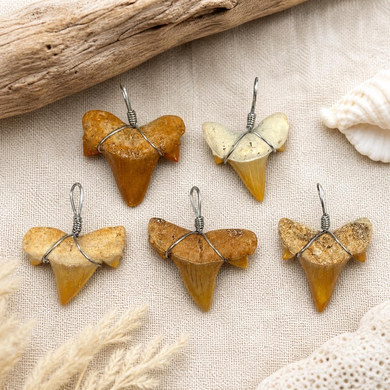 Real Fossilized Shark Tooth Pendant – Wire‑Wrapped Necklace Charm – Natural Coastal Fossil Jewelry Supply