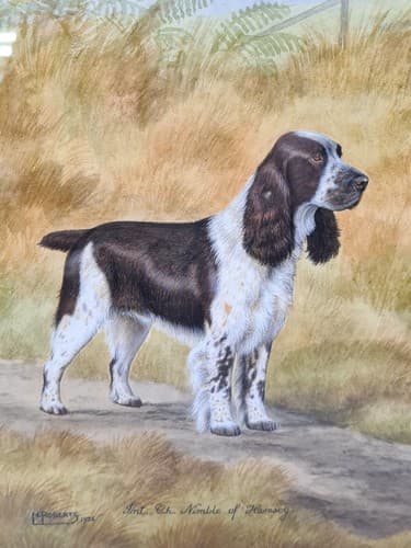 Original 1936 Portrait Painting of Springer Spaniel Champion Nimble of Hamsey