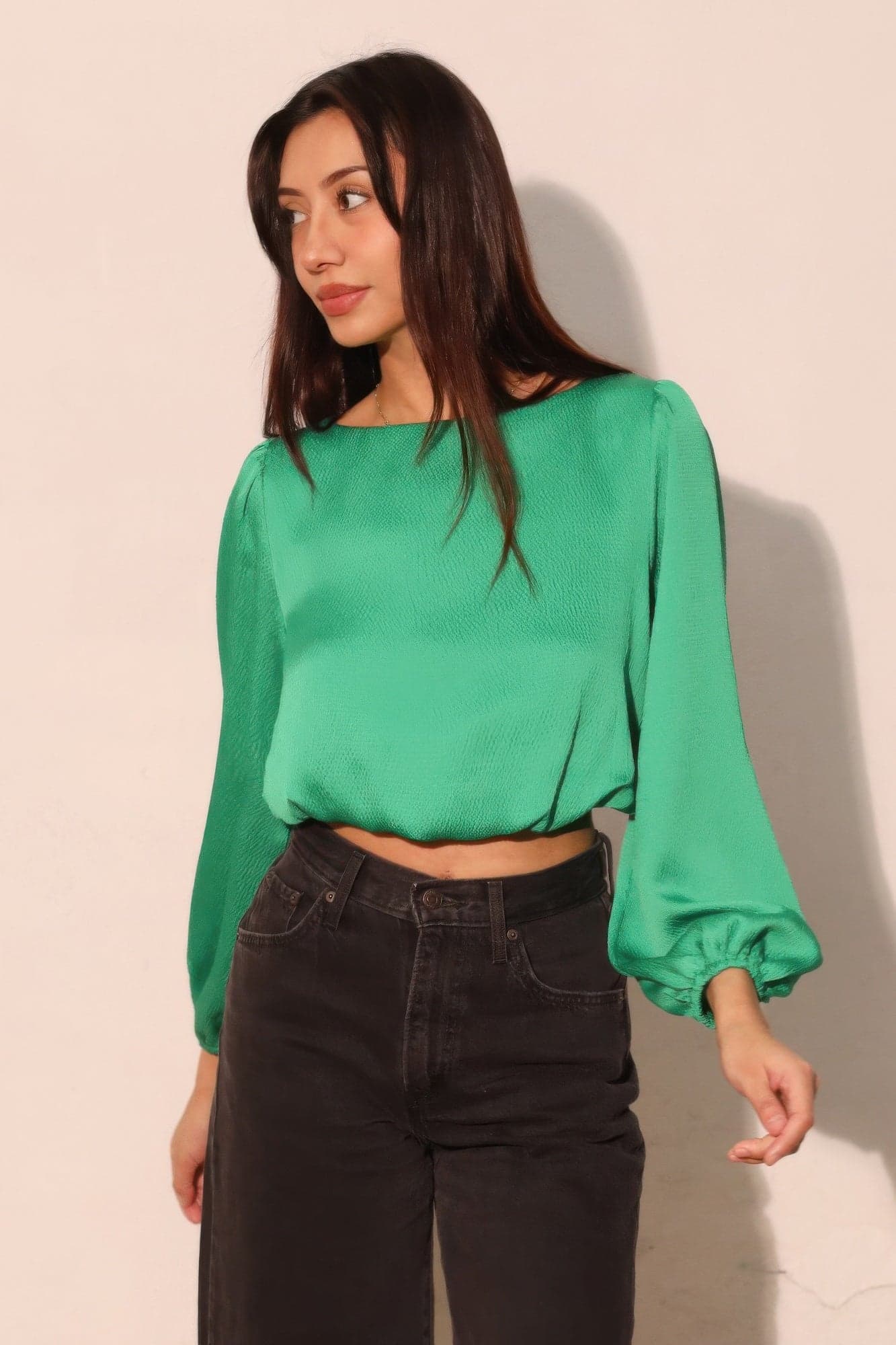 Hammered Satin Long Sleeve Crop Top - S