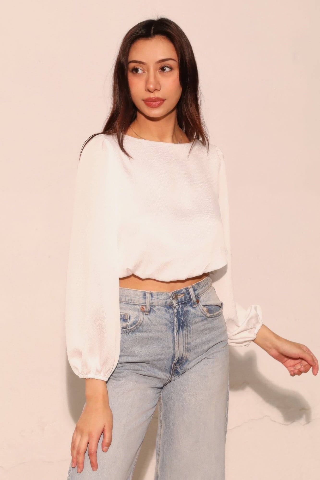 Hammered Satin Long Sleeve Crop Top - S