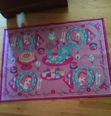 Disneys Princess's Ariel Pink Cinderella Snow White Rug