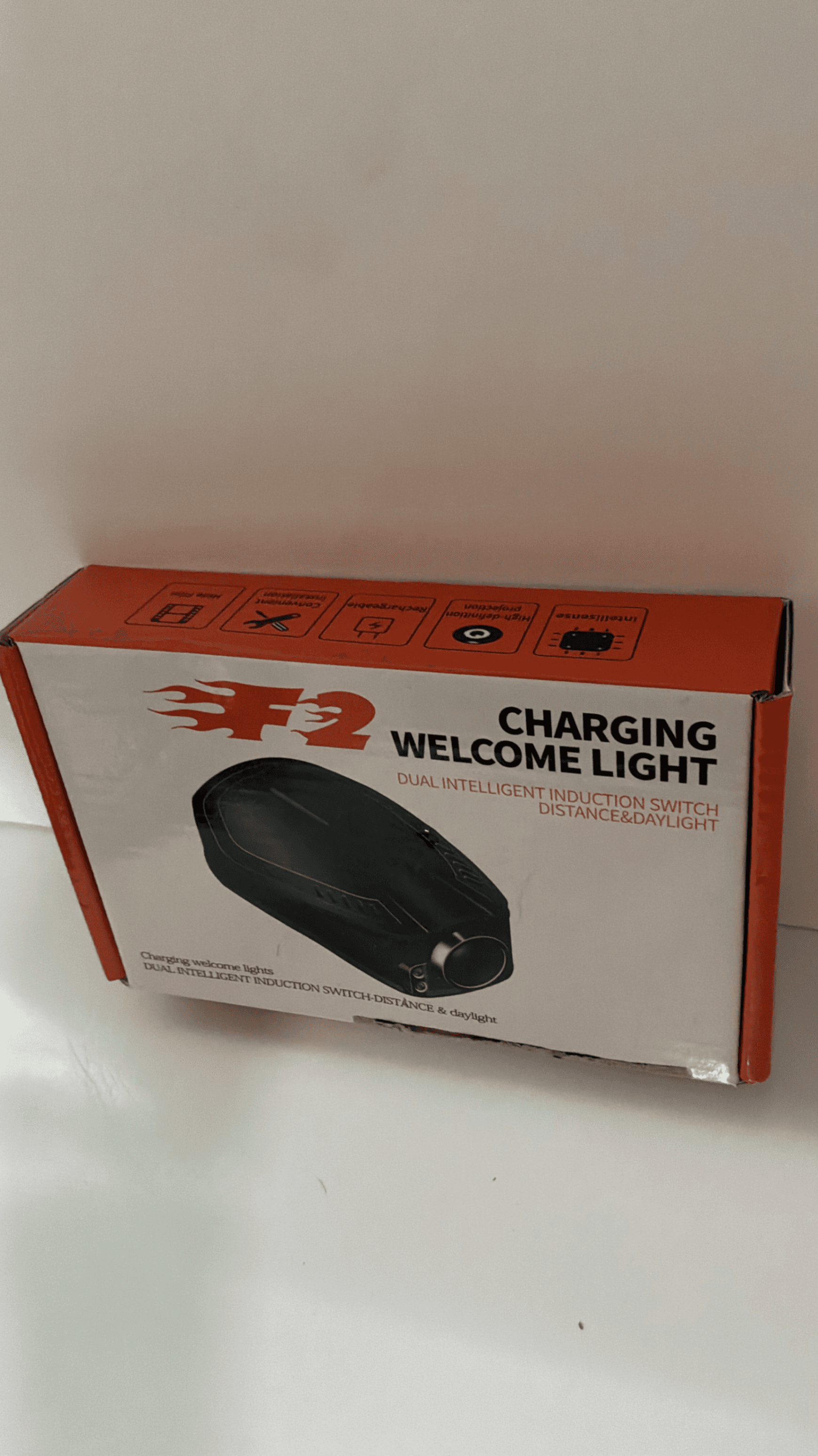 F2 Charging Welcome Light Dual Induction Switch