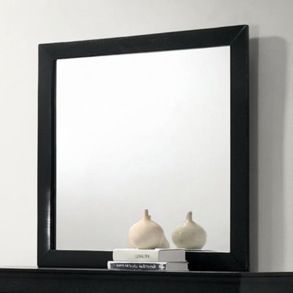 Furniture of America Black Louis Phillipe Mirror FFE-1288