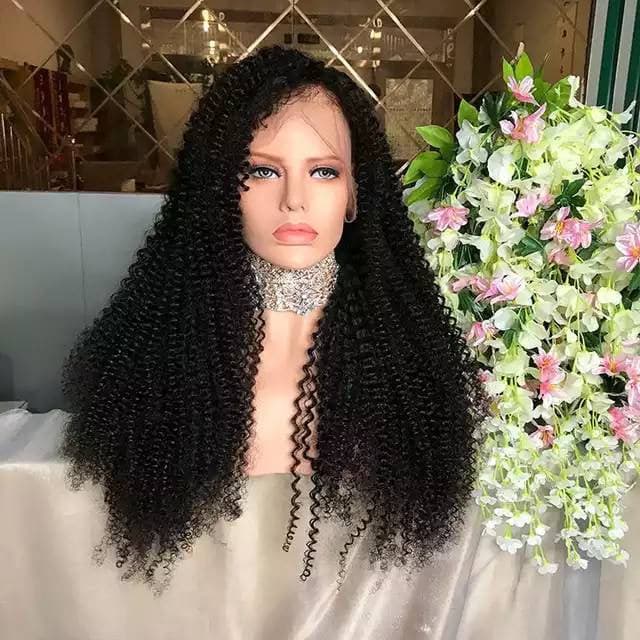 Black Curly// Human Hair/ Lace Front Wigs// Beautiful// Curly// Brazilian Remy//Wig//Glueless// Lacewig - Black Curly / 18