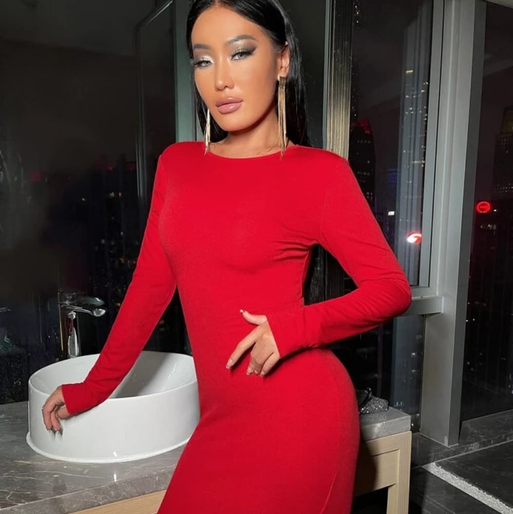 Solid Zipper Red Bodycon Dress