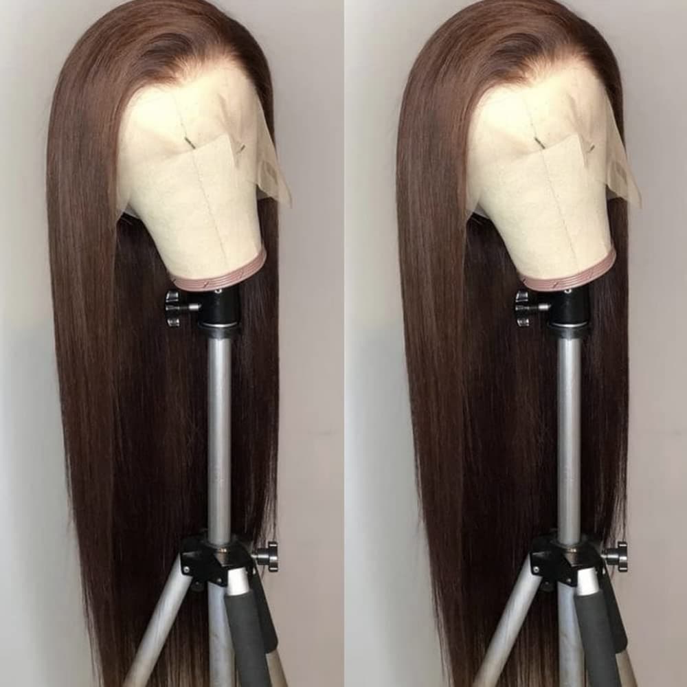 Brown Beauty Lace Front Wig