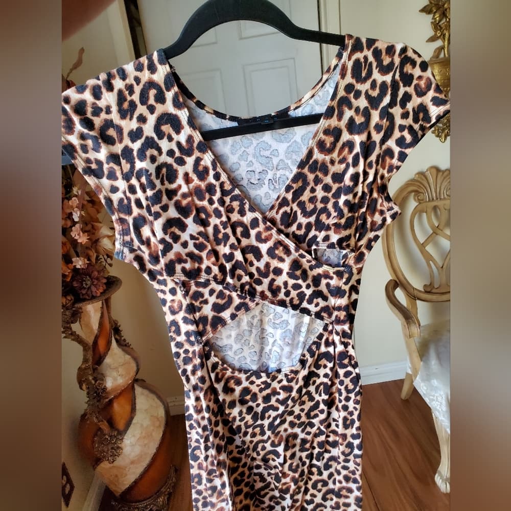 Leopard Dress