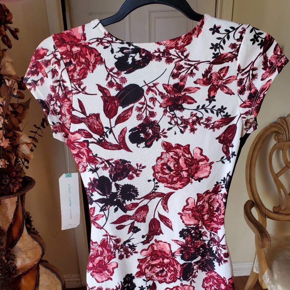 Almost famous flower dress