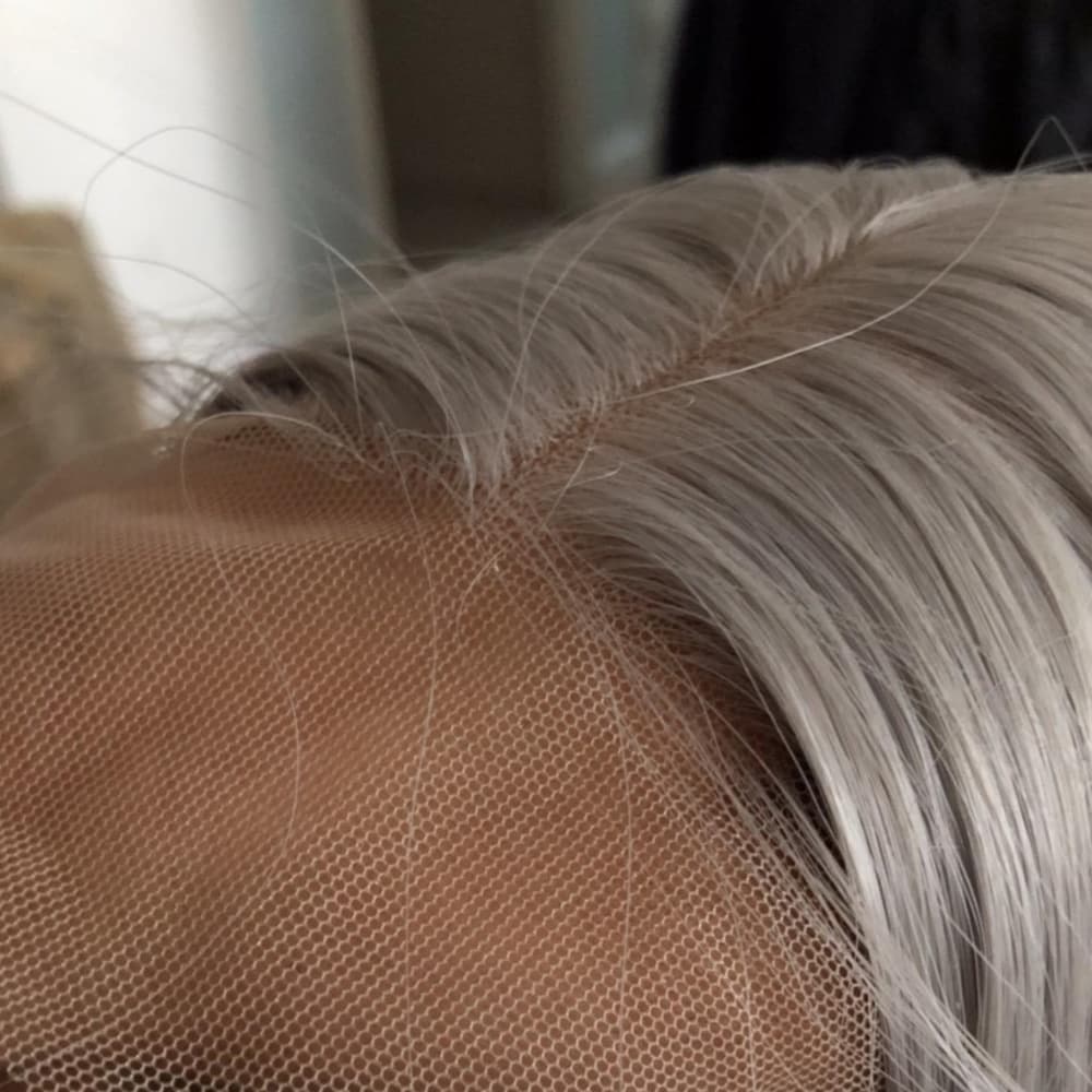 Gray Ash Blonde Lace Front Wig