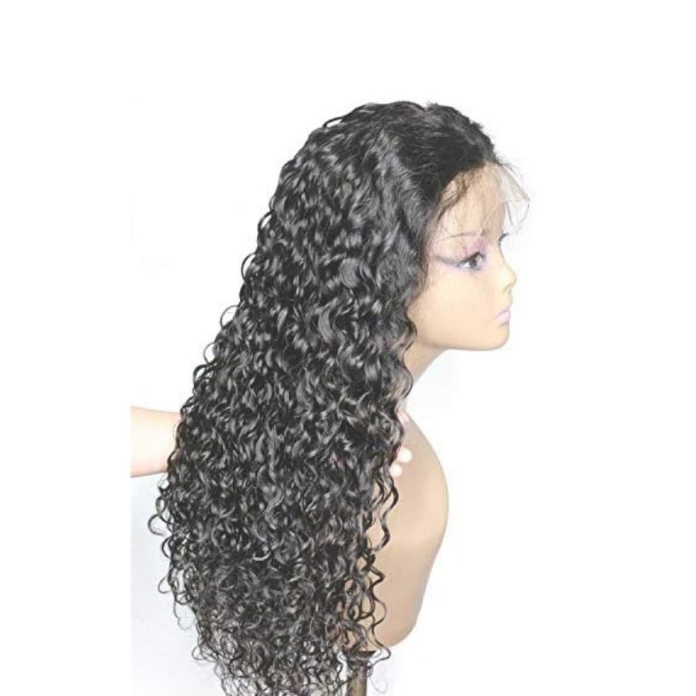 24 HOUR SALE Curly Wave Beauty Lace Front Wig