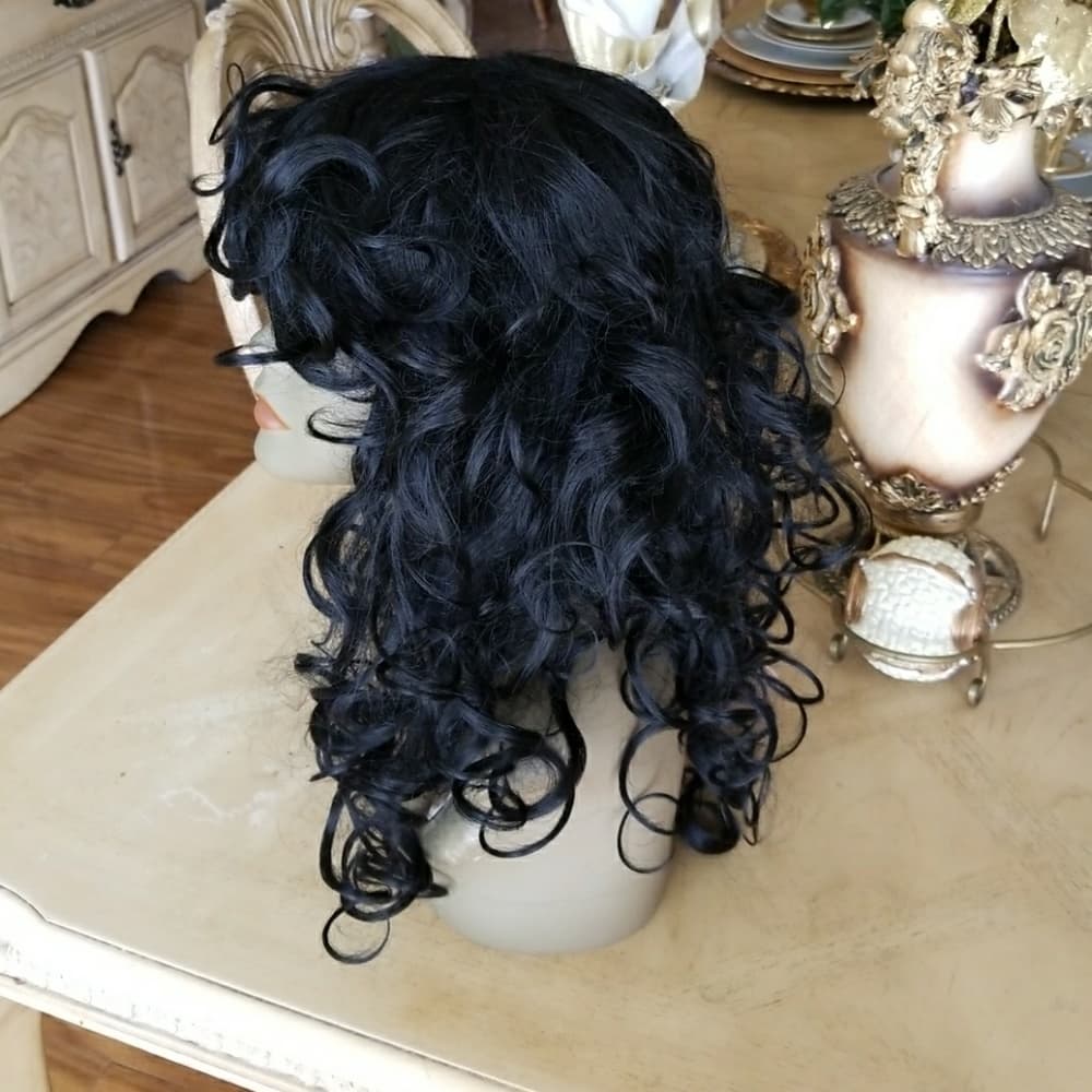 Caressa jet black forever young wig