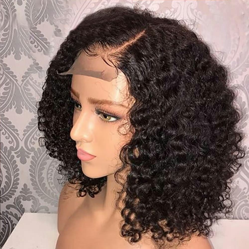 Brazilian Beauty Curly Lace Front Wig 12-14 inches