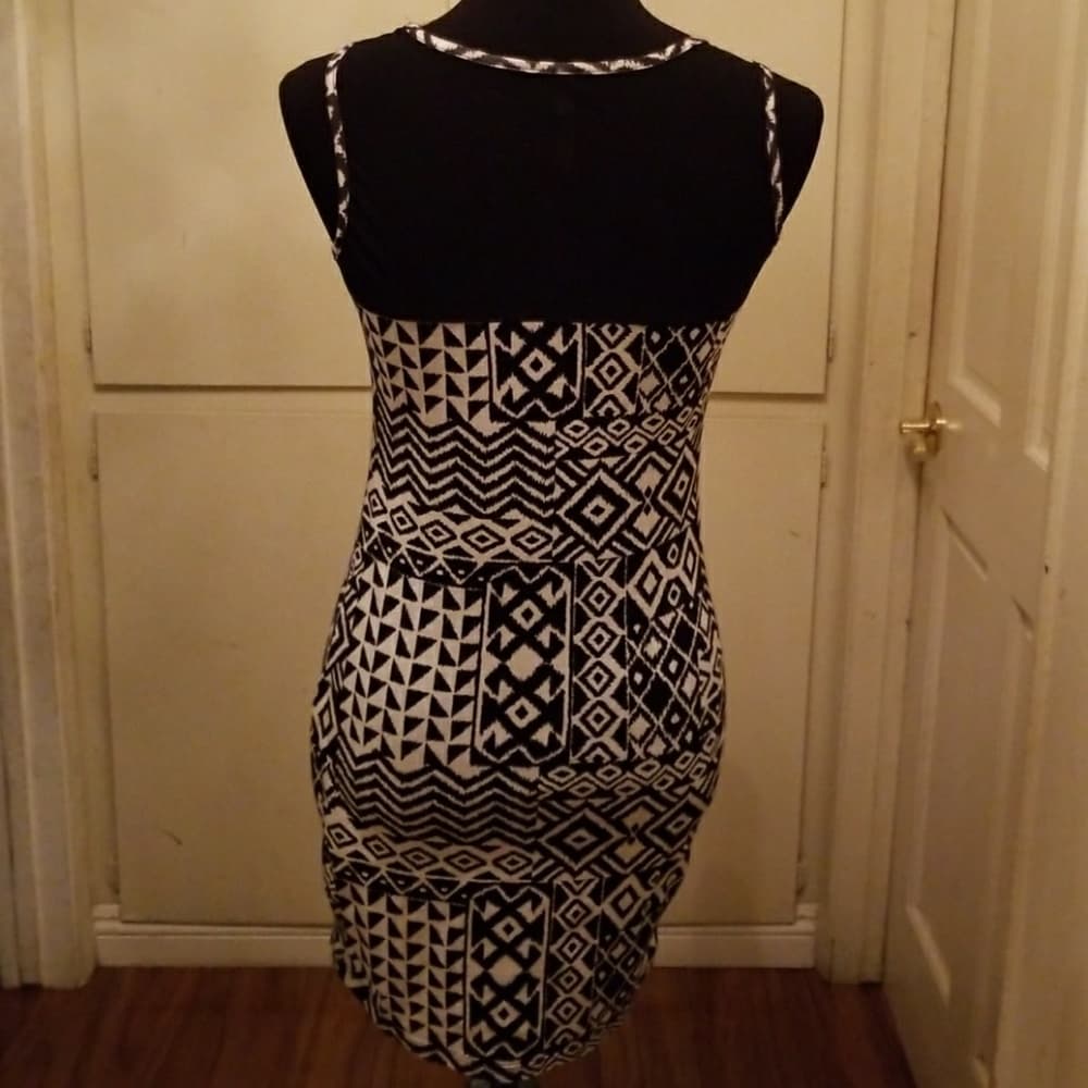 White Black Beauty Dress