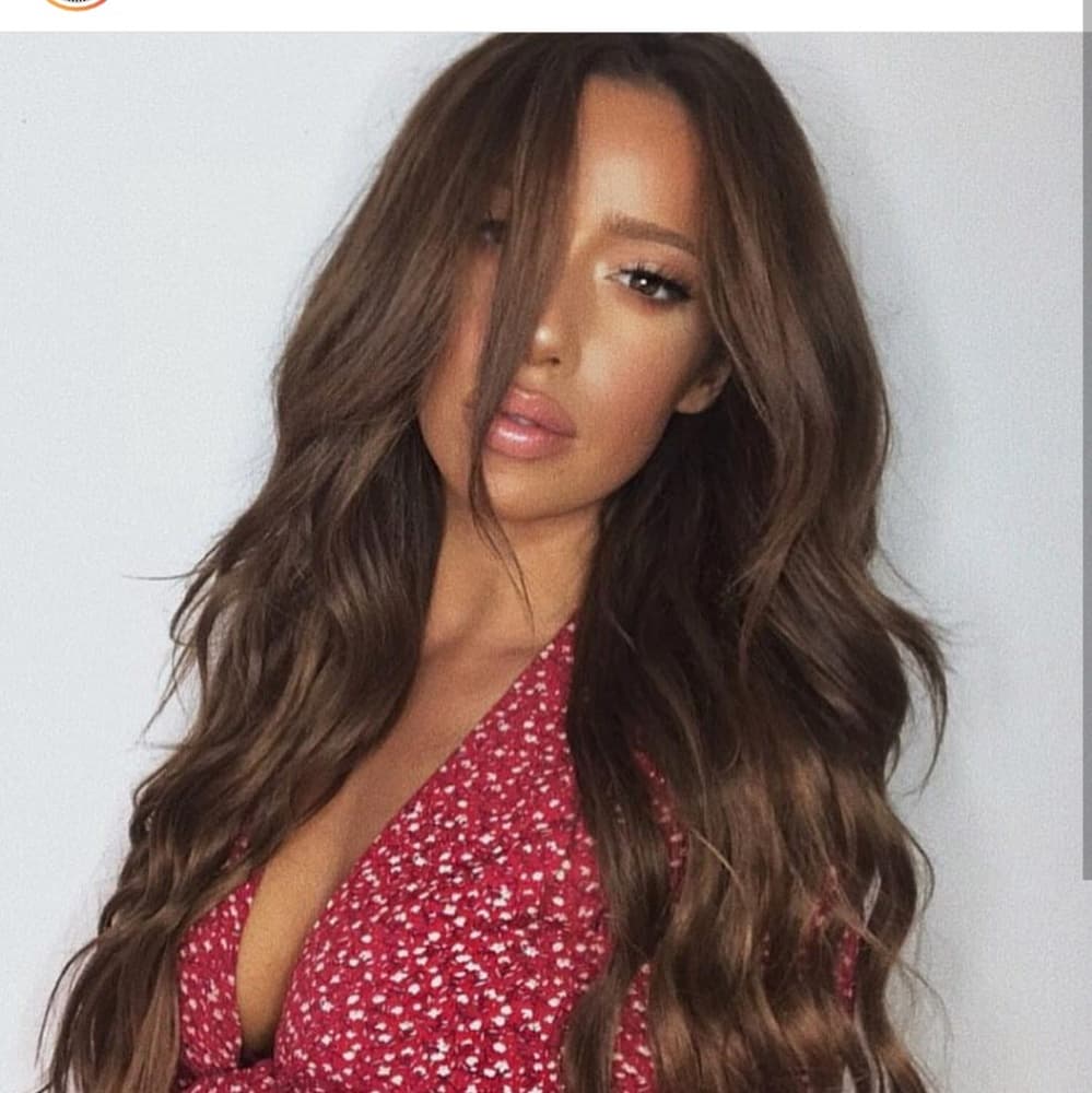 Brown Beauty Lace Front Wig