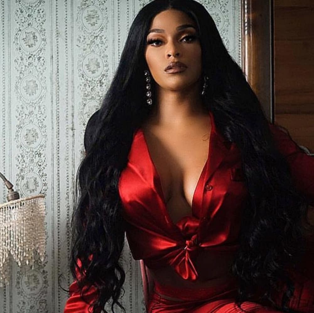 Black Bodywave Lace Front Wig