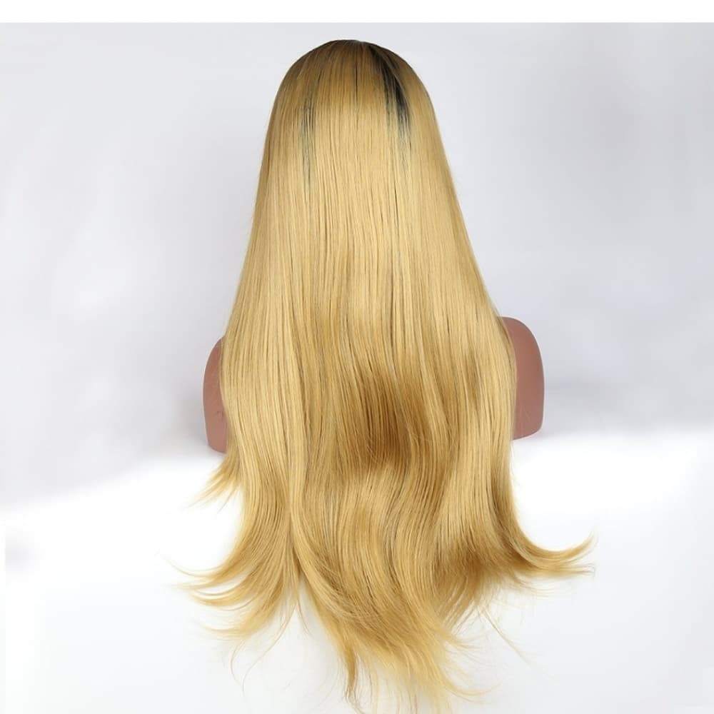 Ombre Blonde Beauty Lace Front Wig