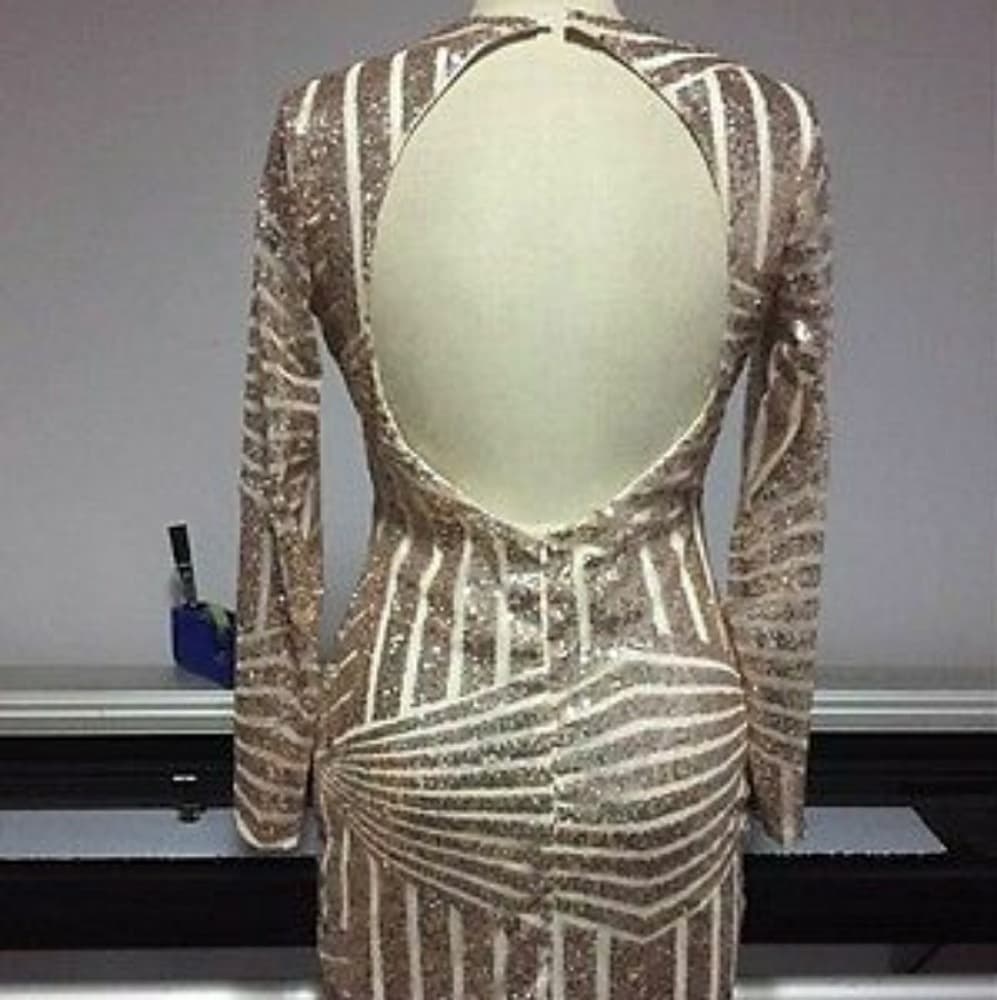 Shimmery Beautiful Bodycon Dress