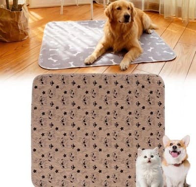 Reusable Waterproof Dog Pee Pad — 30" × 34"