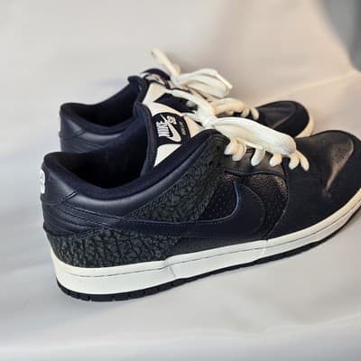 Nike Sb Dunk Low Pro Murasaki Size 10.5 Ride Life