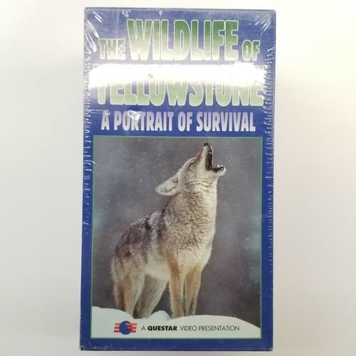 Wildlife Of Yellowstone A Portrait of Survival VHS 3-Tape Set NEW Questar - Regular