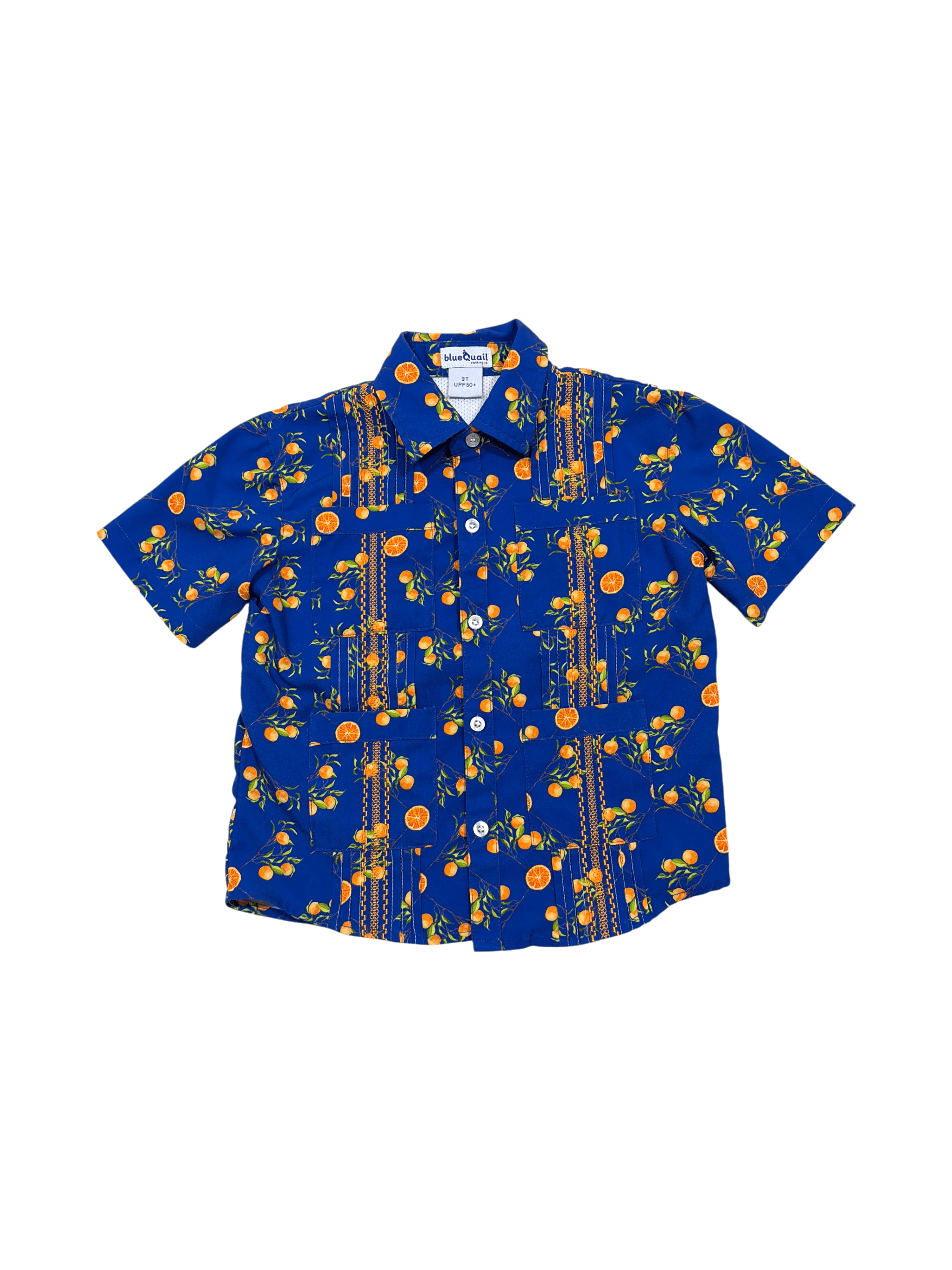Blue Quail boys 3T everyday button up UPF 50+