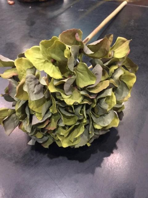 Floral Green Hydrangea Stem