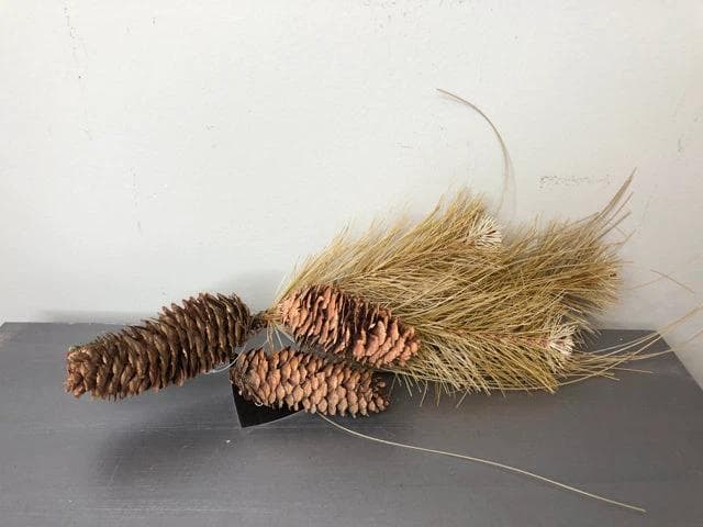 NEW Pine Cone Branch