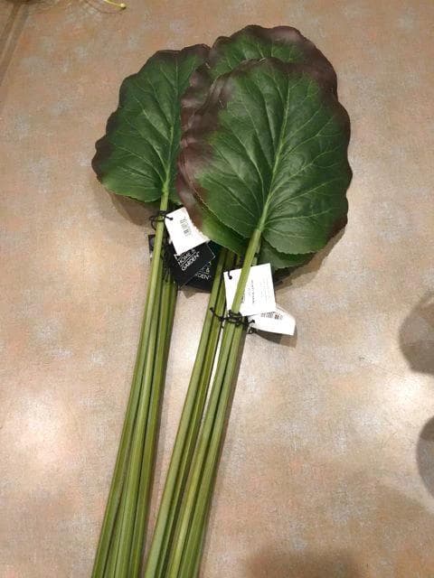 Tropical Leaf 33"