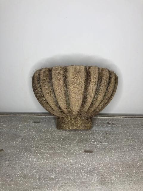 Decorative Shell Wall Sconce